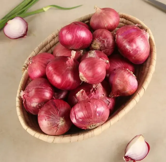 Onion (Pyaz)