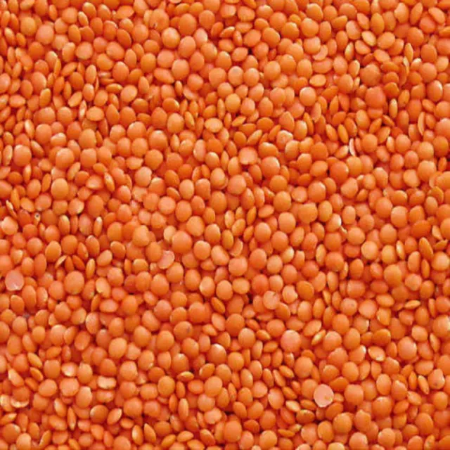 Masoor Daal