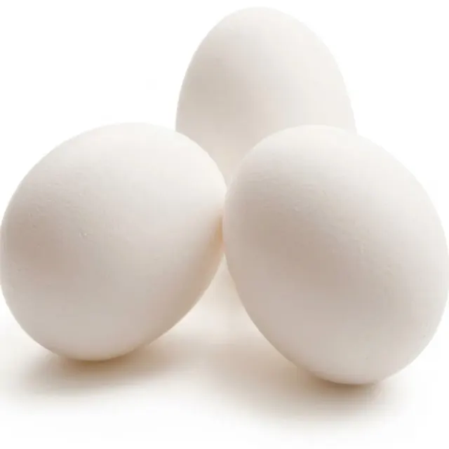 Egg