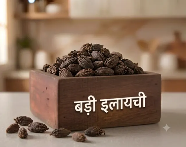 Badi Elaichi