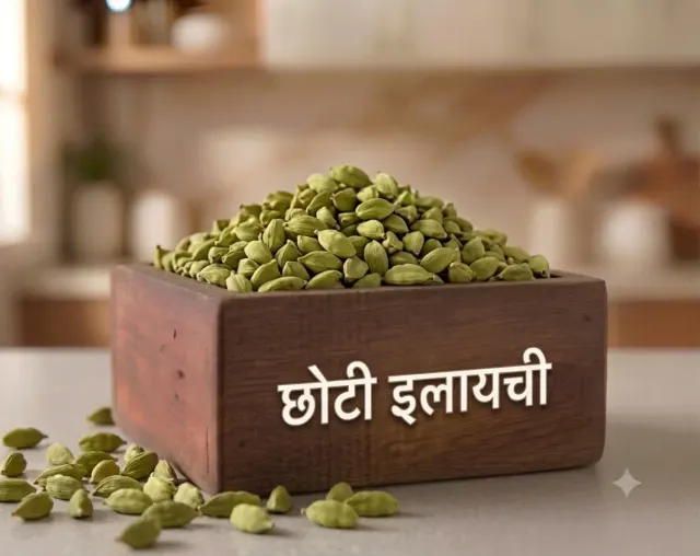 Choti Elaichi (Green Cardamom)