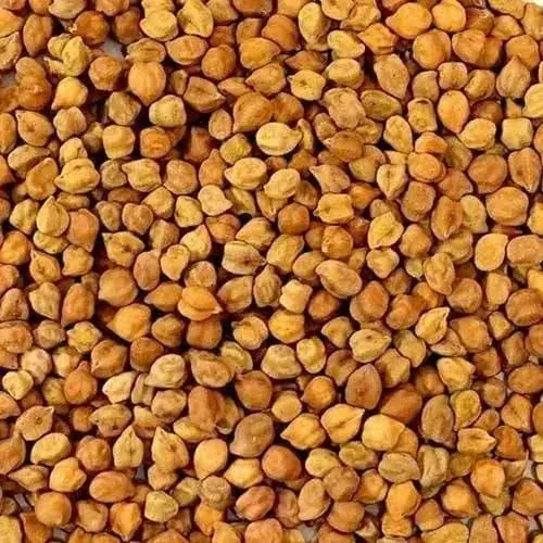 Chana