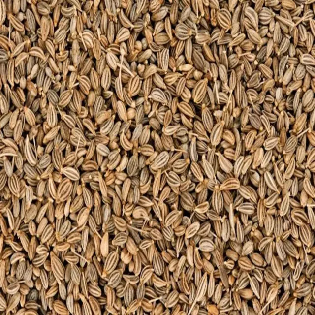 Ajwain (अजवायन)